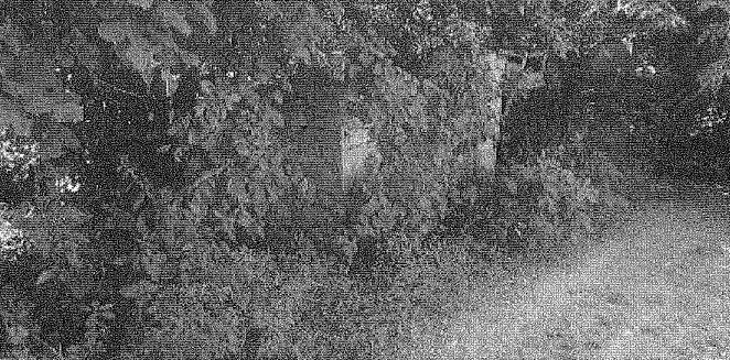 Foto1